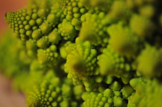 dinner 2017-10-07 011