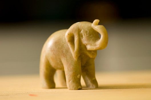 elephant 2017-10-02 004