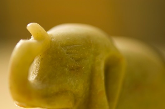 elephant 2017-10-03 001